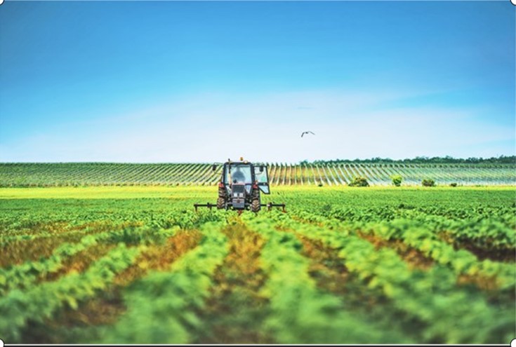 ACTIVIDADES AGROINDUSTRIALES COMPRENDIDAS EN LA LEY N° 31110